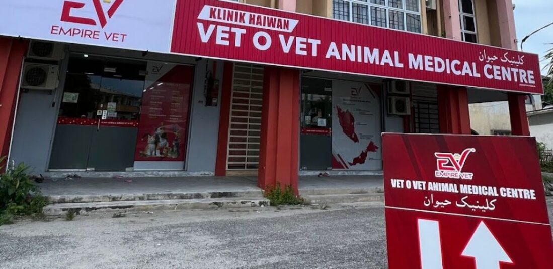 Klinik vet near store me