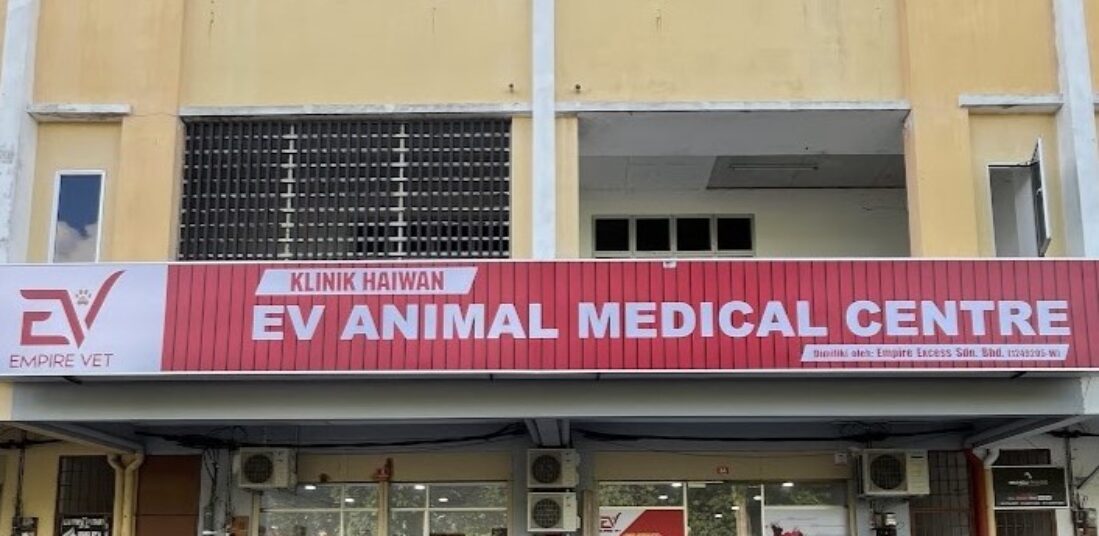 Empire Vet Care – Veterinary Services