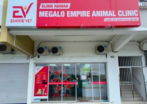 empirevetcare.com - animal medical centres website - BNEXT