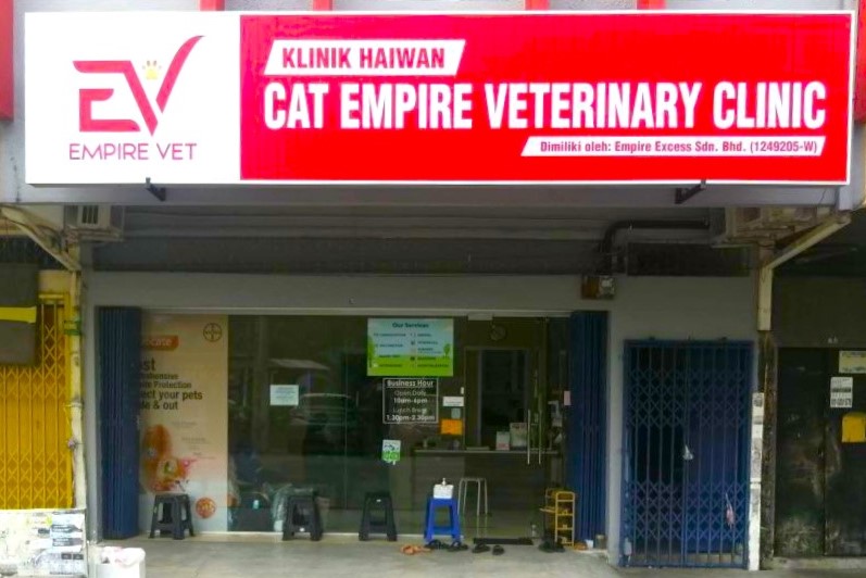 Contact Us – Empire Vet Care – Veterinary Services