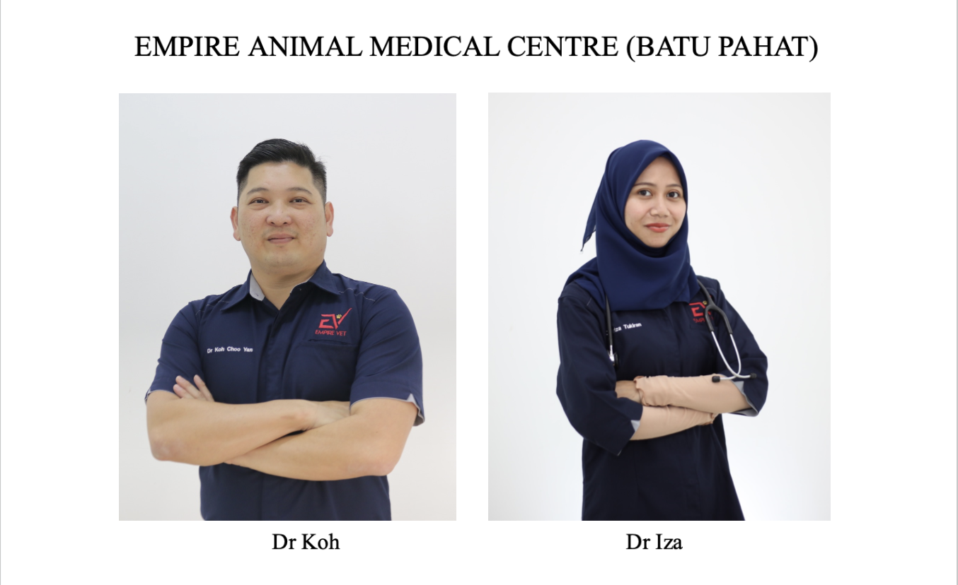 Screenshot 2025-07-23 at 10.12.28 AM